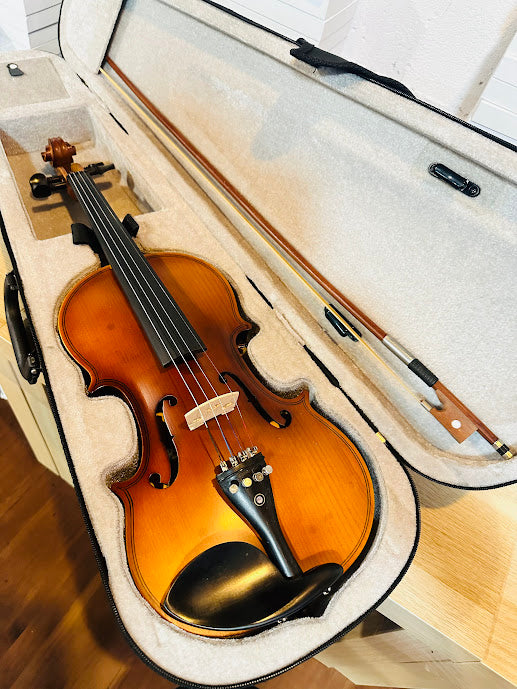 Pendulum German Workshop Violin